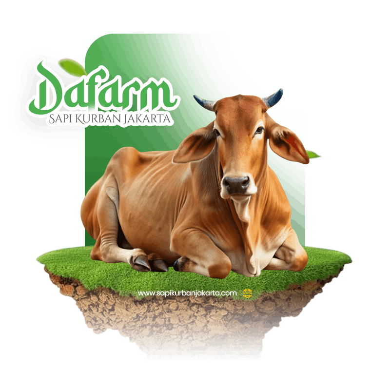 Profil Sapi Kurban Jakarta (dafarm)
